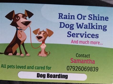 Rain or shine dog walking services